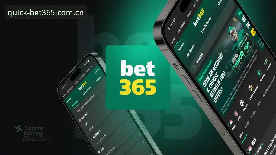 资深用户分享：bet365最新网址怎么样？我的实战经验与创新玩法
